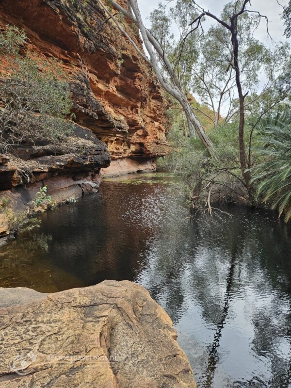 Kings Canyon Rim Walk Oasis.