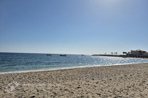 Abu Dabbab Strand - 1