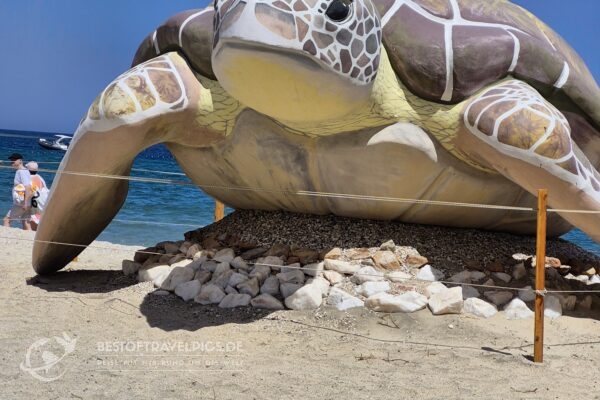 Abu Dabbab Strand - 3