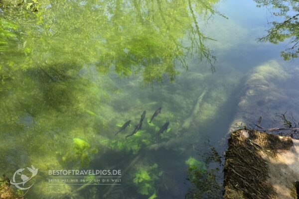 Krka Nationalpark - 8