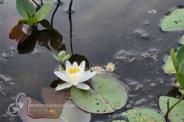 Nuuksio Nationalpark - 7