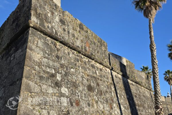 Azoren - 15 - Ponta Delgada