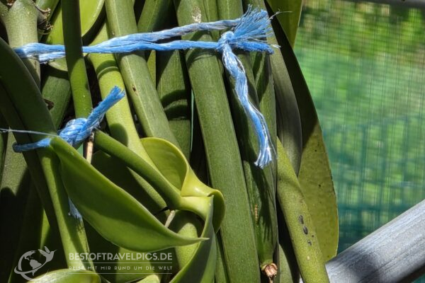 Réunion - 1 - Vanille