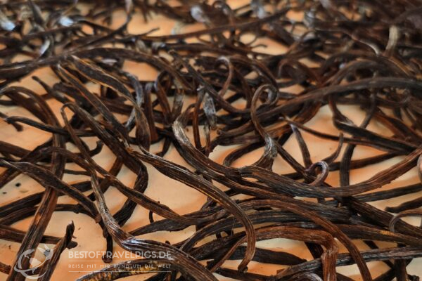 Réunion - 4 - getrocknete Vanille