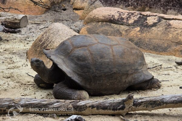 Seychellen - 35 - Curieuse