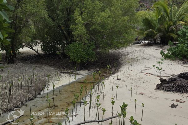 Seychellen - 40 - Curieuse