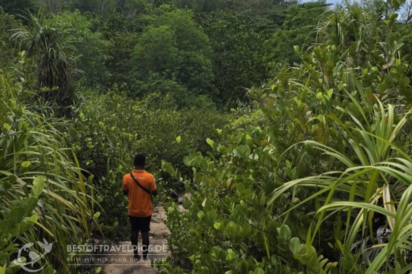 Seychellen - 48 - Curieuse