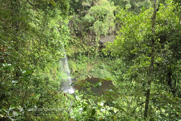 Madagaskar - 16 - Festland