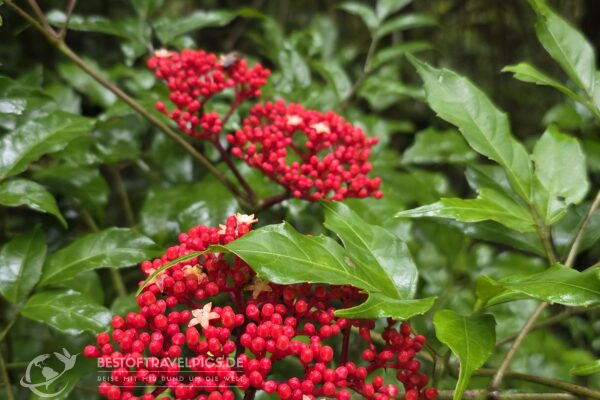 Madagaskar - 17 - Festland