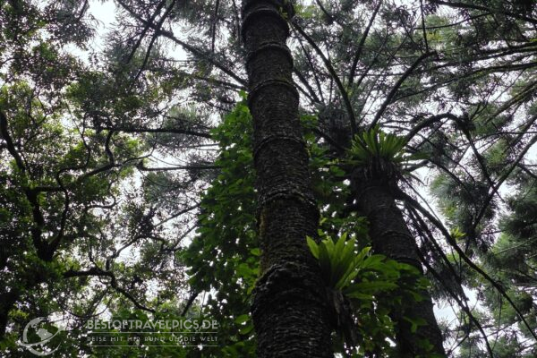 Madagaskar - 18 - Festland