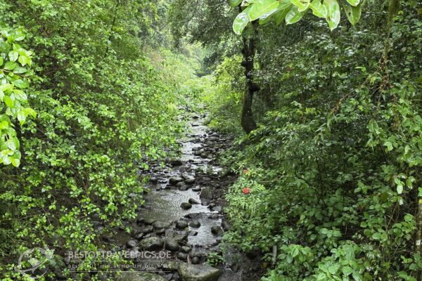 Madagaskar - 19 - Festland