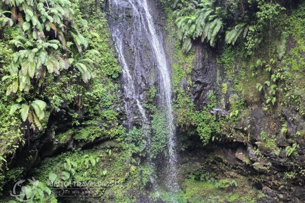 Madagaskar - 20 - Festland