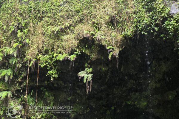 Madagaskar - 21 - Festland